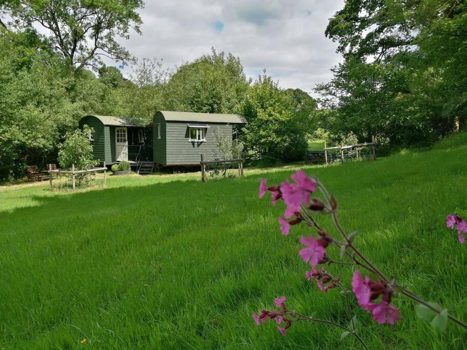 Penn Bergeyn Shepherd'S Huts Exeter Exterior photo